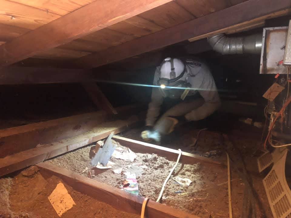 Insulation removal in Fort Worth