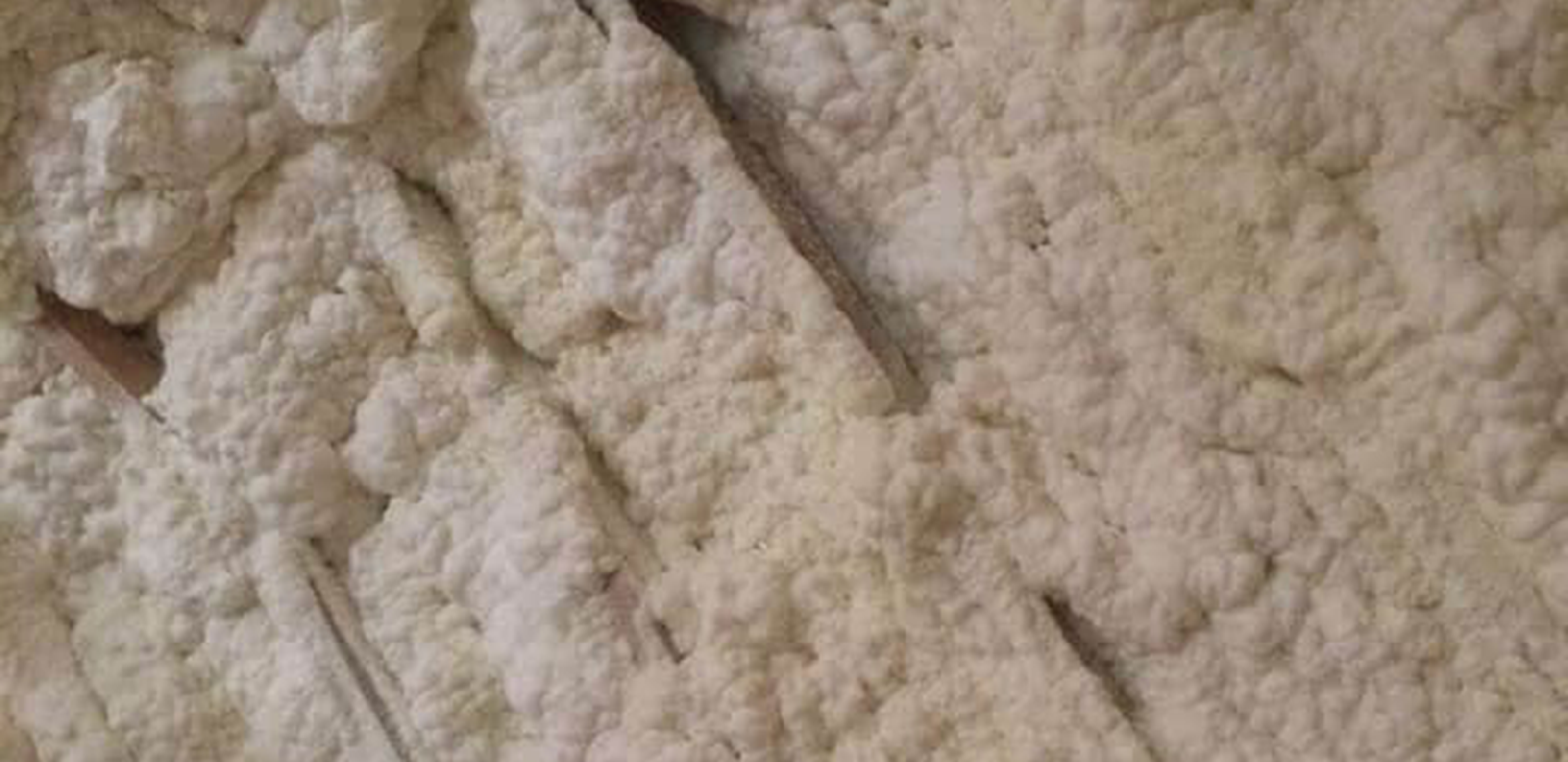 lonestarinsulation e1766994995458 (1)